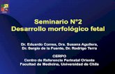 Seminario N°2 Desarrollo morfológico fetacerpo.cl/_items/File_002_00573_0030.pdf · 2016-08-23 · Seminario N°2 Desarrollo morfológico feta Dr. Eduardo Correa, Dra. Susana Aguilera,