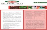FichaTecnicaKCL1 - Albagro · 2017-08-23 · (NaCl), con un contenido de 20% a 30% de K2O. b) Silvita: Mineral compuesto principalmente de Cloruro de Potasio (KCl), con un contenido