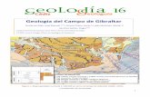 Geología del Campo de Gibraltara16/guias... · 2018-04-10 · estructuras sedimentarias típicas de los depósitos turbidíticos que, en algunos casos, indican la dirección de las