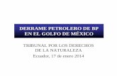DERRAME PETROLERO DE BP EN EL GOLFO DE MÉXICO · DERRAME PETROLERO DE BP EN EL GOLFO DE MÉXICO TRIBUNAL POR LOS DERECHOS DE LA NATURALEZA Ecuador, 17 de enero 2014. Los Hechos El