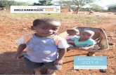 MEMORIA 2014 - FUNDACION MOZAMBIQUE SUR · I N D I C E Cuentas anuales Carta de la Fundación 5 Misión, objetivos y líneas estratégicas 6 Nuestro equipo en Mozambique 7 Resultados