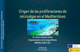 Origen de las proliferaciones de microalgas en el Mediterráneo azul al verde.pdf19 de septiembre de 2019. Ibiza. Aguas azules Proliferación Fitoplancton y proliferaciones Cianobacteria