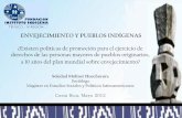 ENVEJECIMIENTO Y PUEBLOS INDÍGENAS · 2015-08-27 · Soledad Molinet Huechucura Socióloga Magister en Estudios Sociales y Políticos latinoamericanos Costa Rica, Mayo 2012 -¿Qué