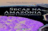 S˚˛˝˙ ˇ˝ - Amazon S3 · 2019-06-04 · S˚˛˝˙ ˇ˝ A ˝ ˇ ˝ causas e consequências Laura De Simone Borma Carlos Afonso Nobre organizadores secas.indb 1 19/04/2013 10:21:04