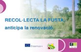 RECOL·LECTA LA FUSTA, anticipa la renovacióeforown.ctfc.cat/pdf/23 Recollecta la fusta CAT.pdf · fusta, la mida i la qualitat de les tiges i la seva possible degradació, les inversions