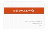 SISTEMA NERVIÓS · El sistema nerviós Sistema nerviós- sistema endocrí: Actuen plegats al sistema neuroendocrí. Permet coordinar totes les activtats que es realitzen a l’interior