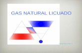 GAS NATURAL LICUADOgasnatural.osinerg.gob.pe/contenidos/uploads/GFGN/FLAVUM-EVEX… · existentes de alamacenamiento y venta (despachadores) posibilidades multiples ... • creacion
