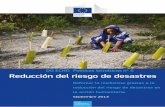 Reducción del riesgo de desastresec.europa.eu/echo/files/policies/prevention... · fortalecer la resiliencia en países y comunidades afectados por desastres. El apoyo a la RRD es