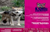 Taller para la Reintroducción del Lobo FINAL... · 2016-09-30 · Taller para la Reintroducción del Lobo Mexicano (Canis lupus baileyi) en México El Manzano, Nuevo León, México
