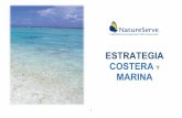 ESTRATEGIA COSTERA Y MARINA - NatureServe · 6 Destacados del Programa Costero y Reef NMS, NOS, NOAA Marino Clasificación Marina Una colaboración de una década con la NOAA y otros