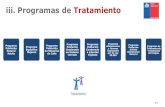 iii. Programas de Tratamiento · Puesta en marcha del programa de Parentalidad. Fortalecimiento de programas de tratamiento para niños, niñas y jóvenes del SENAME. Consolidación