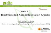 Web 2.0 Biodiversidad Agroambiental en Aragón...Digitalización y homogenización de contenidos: CITA. Fichas en papel, diapositivas, publicaciones, fotos digitales, bases de datos,