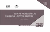 JUICIO PARA EMILIO RICARDO LOZOYA AUSTIN · 2020-05-19 · Así como por la y los consejeros de gobierno, nombrados por el presidente de la República: 3. Lourdes Melgar, subsecretaria