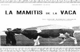 MA D i21 D NUMERO 13-49-1H JuLlo tS LA MAMITIS OE LA VACA · 2006-10-25 · la "mamitis" a la ganadería española se pueden calcular en la octava parte de la producción total de