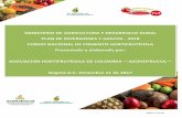 MINISTERIO DE AGRICULTURA Y DESARROLLO …La Asociación Hortifrutícola de Colombia -ASOHOFRUCOL-, en cumplimiento del Artículo 14 de la Ley 118 de 1994 y del Contrato suscrito con