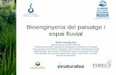 Bioenginyeria del paisatge i espai fluvial · 2017-04-17 · Bioenginyeria del paisatge i espai fluvial . Plantes amb característiques biotècniques: La base de la bioingeniería