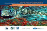 070-Protocolo Indicador Densidad Pez León digitalobservatorio.epacartagena.gov.co/wp-content/uploads/2017/... · 2017-08-04 · El Instituto de Investigaciones Marinas y Costeras