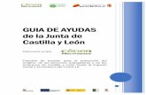 GUIA DE AYUDAS de la Junta de Castilla y León · Castilla y León Elaboración propia Paquete de ayudas para la protección del empleo, de las personas trabajadoras y de las ...