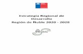 Estrategia Regional de Desarrollo Región de Ñuble 2020 - 2028 ÑUBLE 2020... · Estrategia Regional de Desarrollo de la Región de Ñuble 2020-2028 Página 92 de 147 Un problema