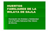 HUERTOS FAMILIARES DE LA WILAYA DE DAJLA · de los huertos familiares de Murcia. Estas siete mujeres, en este caso, tienen una jornada formativa los d ías 1, 10 y 20 de cada mes,