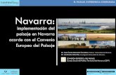 Navarra: implementación del paisaje en Navarra acorde con ... · LA RIBERA CONECTIVIDAD TERRITORIAL Sistemas ecológicos . Navarra: implementación del paisaje en Navarra acorde