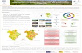 Presentación de PowerPoint · Criterios para la identificación de zonas prioritarias para la restauración en un paisaje semiárido: más allá de los servicios ecosistémicos