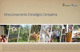 Direccionamiento Estratégico Cenipalma€¦ · Mega Meta Cenipalma 2023 “Junto a los palmicultores, impulsamos la generación y adopción de tecnologías agroindustriales sostenibles