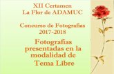 Fotografías presentadas en la modalidad de Tema Libre - UCM · 2019-05-02 · Tema Libre . Aquí mando yo de María Ángeles Lucea Torrejón . Brindo por la vida de Ángela Calleja