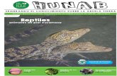 Precio $9 pesos Reptiles - Hunabhunab.info/wp-content/uploads/2019/12/JUNIO-2019.pdfserpientes en Méxicos, la mayoría son culebras y siete de las ocho tortugas marinas del mundo