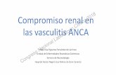 Compromiso renal en las vasculitis ANCA · Enfermedad pulmonar intersticial ideopática Sind polimialgico con reacción de fase aguda Indicaciones ANCAs ... •Papel de la aféresis