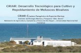 CRIAR: Desarrollo Tecnológico para Cultivo y Repoblamiento de … · 2015-05-19 · CRIAR: Desarrollo Tecnológico para Cultivo y Repoblamiento de Moluscos Bivalvos CRIAR-C riadero