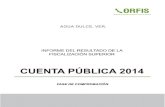 AGUA DULCE, VER. - ORFIS Veracruz · AGUA DULCE, VER. 217 1. PRESENTACIÓN Este documento revela el resultado de la Fiscalización Superior en su fase de comprobación que fue aplicada