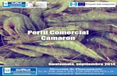 Presentación - maga.gob.gt camaron.pdf · Perfil comercial del camarón 1 –8 Camarón1. Los camarones pertenecen a la familia de los peneidos, y en Guatemala, la especie más utilizada