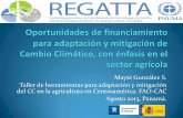 Mayté González S. Taller de herramientas para adaptación y ...³n_Oportunidades_de... · Taller de herramientas para adaptación y mitigación del CC en la agricultura en Centroamérica.
