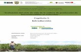Capitulo I: Introducción · BGB Biomasa por debajo del suelo BID Banco Interamericano de Desarrollo ... áreas de conservación de la biodiversidad (Greiler 2007). Especialmente