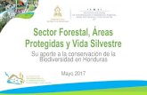 Sector Forestal, Áreas Protegidas y Vida Silvestrechmhonduras.org/phocadownloadpap/Dia_DiBio_2017/ICF _ Sector Fore… · •Intercambio de experiencias en Colombia, para el Manejo