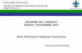 INFORME DE LABORES ENERO - DICIEMBRE 2013 MVZ. Francisco ...colaboracion.uv.mx/rept/files/2014-02/...FMVZ-2013.pdf · oferta educativa: mvz titulados 2011-2013 2011 2012 2013 rÍgido