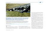 Empleo de ácidos grasos en vacas de leche, un …...120 | Vaca Pinta n.º 18 | 06.2020 AIENTACIÓN En este artículo pongo el foco en la importancia de la grasa como un nutriente