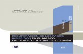 Informe Especial - European Parliament · Informe Especial nº 8/2011 – Recuperación de los pagos indebidos en el marco de la Política Agrícola Común 5 Informe Especial nº