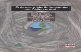 Pobreza y Medio Ambiente en Chile central · 2012-07-30 · QUILLECO Y SAN MIGUEL Se incluye inicialmente un resumen de problemas ambientales para cada co muna y luego las tablas
