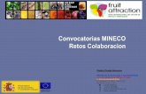 Convocatorias MINECO Retos Colaboracion20Colaboraci%F3... · Cronograma de actuaciones para 2013 2013 - 2020 2016 -2020 2013 -2016 2013 t . Promoción del Talento y su ... Tecno.