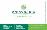 Presentación de PowerPoint - Uniagraria FINANCIE… · 1. Fechas de vencimiento para cada Programa Académico 2. ... ESTUDIANTES NUEVOS ING CIVIL 20/06/2017 04/08/2017 18/08/2017