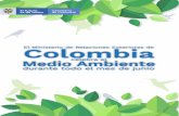 Conversatorio€¦ · Conversatorio alrededor del documental Vichada,Serie Colombia Biodel Ministerio de Ciencia, Tecnología e Innovación (EN) Invitan: Embajadas de Colombia en