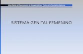SISTEMA GENITAL FEMENINO - Facultad de Medicina UNAM · SISTEMA GENITAL FEMENINO ... Laboratorio de Microscopía Electrónica del DBCT, Facultad de Medicina, UNAM. Atlas Digital del