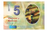 Vectores y Matrices - flanagan.ugr.esflanagan.ugr.es/docencia/2011-2012/atdi/apuntes/Tema5.VectoresY... · VECTORES Y MATRICES ... Una matriz es un tipo de dato, compuesto de un número