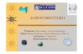 Prelación: Silvicultura, Viveros Forestales TPLU: UC: 2 · Conocer las clasificaciones de Sistemas Agroforestales, así como las principales prácticas y tecnologías de esta ciencia.