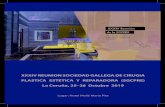 XXXIV REUNION SOCIEDAD GALLEGA DE CIRUGIA PLASTICA ...cirugiaplasticagallega.es/.../0141476_diptico_v2.pdf · XXXIV REUNION SOCIEDAD GALLEGA DE CIRUGIA PLASTICA ESTETICA Y REPARADORA