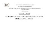 AGENTES CAUSALES DE INFECCIONES HEPATOBILIARES · 2020-03-03 · reactiva Fase de baja replicación Fase de alta replicación o). Chronic Hepatitis B Infection A Review Lydia S. Y.