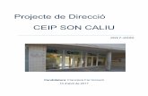 Projecte de Direcció CEIP SON CALIUredols.caib.es/c07012998/docs/projecte-direccio-2017_2020/?bp... · un camp petit de futbol i un pati cobert amb taules de ping-pong, per si plou.