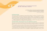 Ampliación y fundamentaciónsandrameza.net/metodologiapdf/12.pdf · Ampliación y fundamentación de los métodos mixtos Los métodos mixtos no nos proveen de soluciones perfectas;